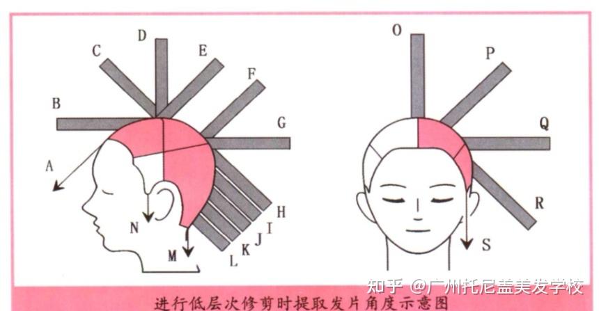 广州美发学校给你讲述进行低层次修剪时头部不同部位如何提取发片