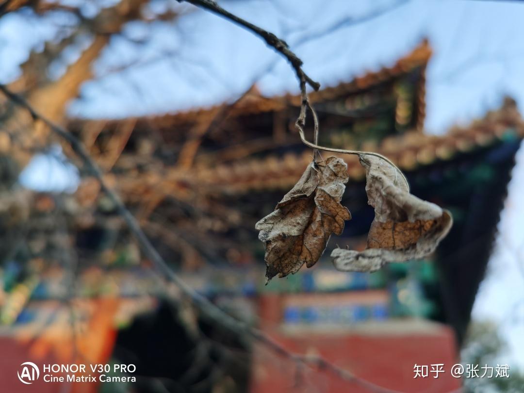 荣耀v30pro拍照怎么样