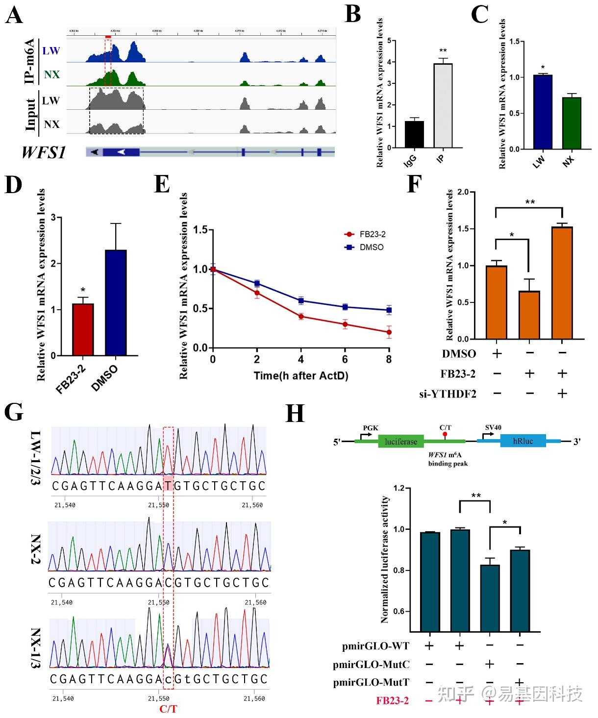 易基因： MeRIP-seq+RNA-seq揭示不同品种猪肌肉发育的m6A RNA甲基化差异｜育种研究 - 深圳市易基因科技 - 博客园