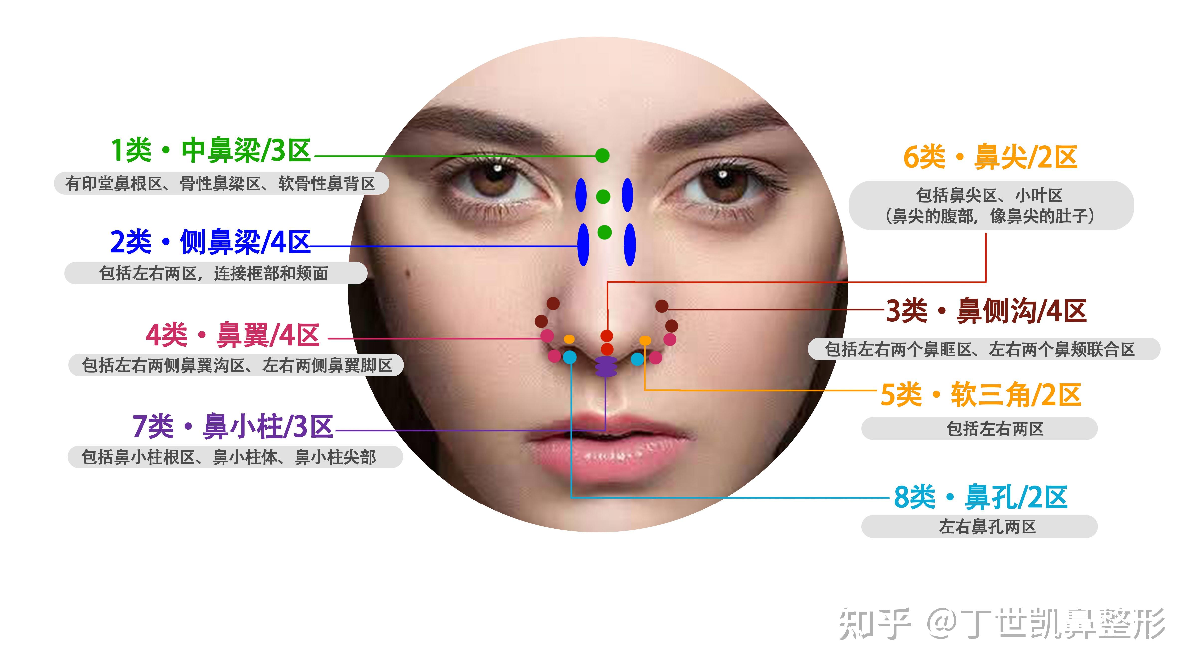 脸型分析，你的脸型适合什么样的鼻子？ - 知乎