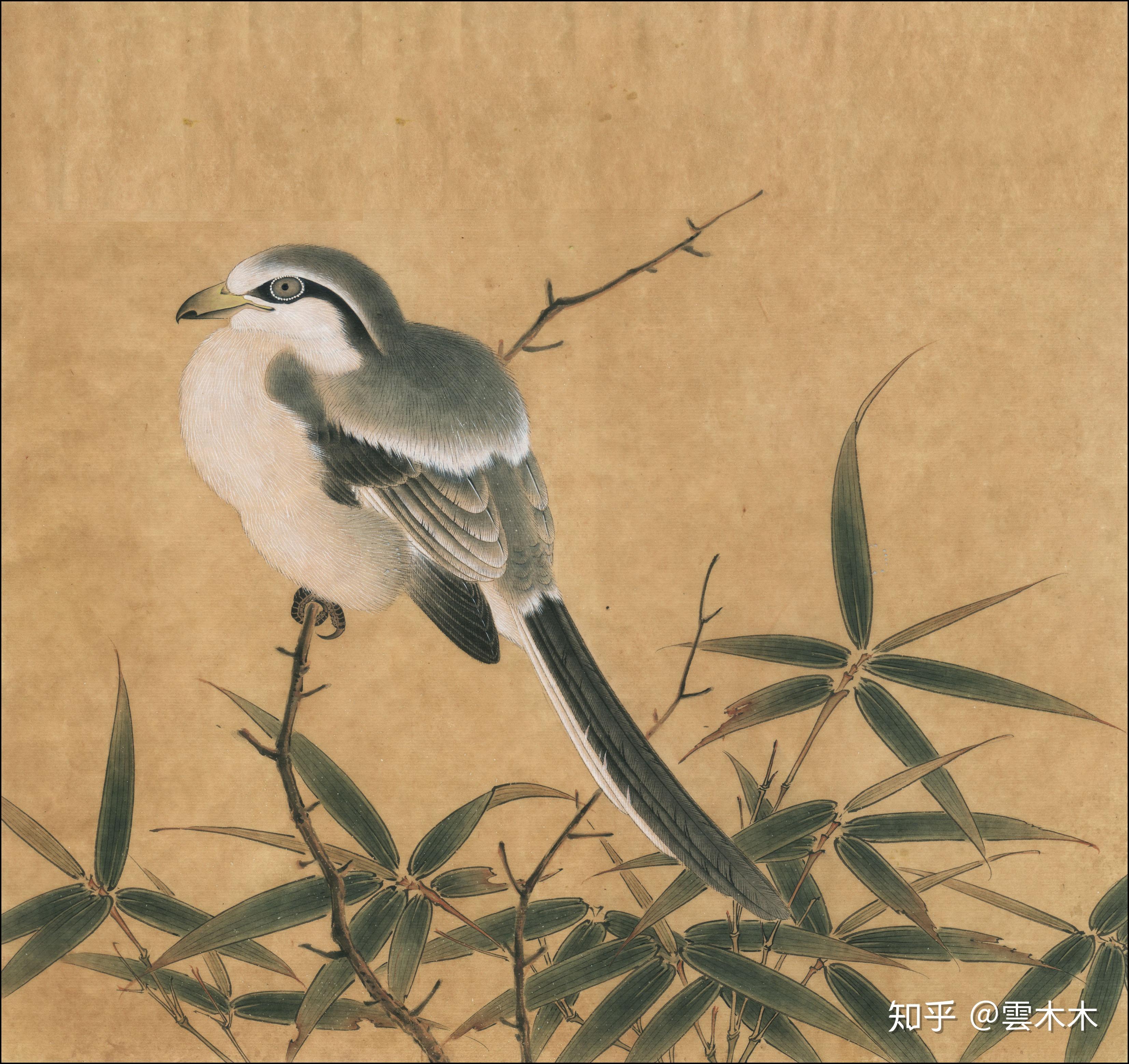 宋小品竹鸠图国画工笔绘画步骤图