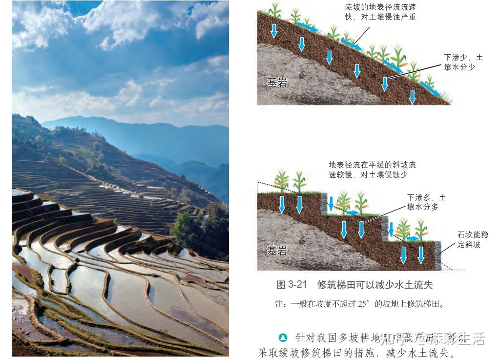 新教材关于《耕地资源与粮食安全》的知识点都有哪些呢？ - 知乎