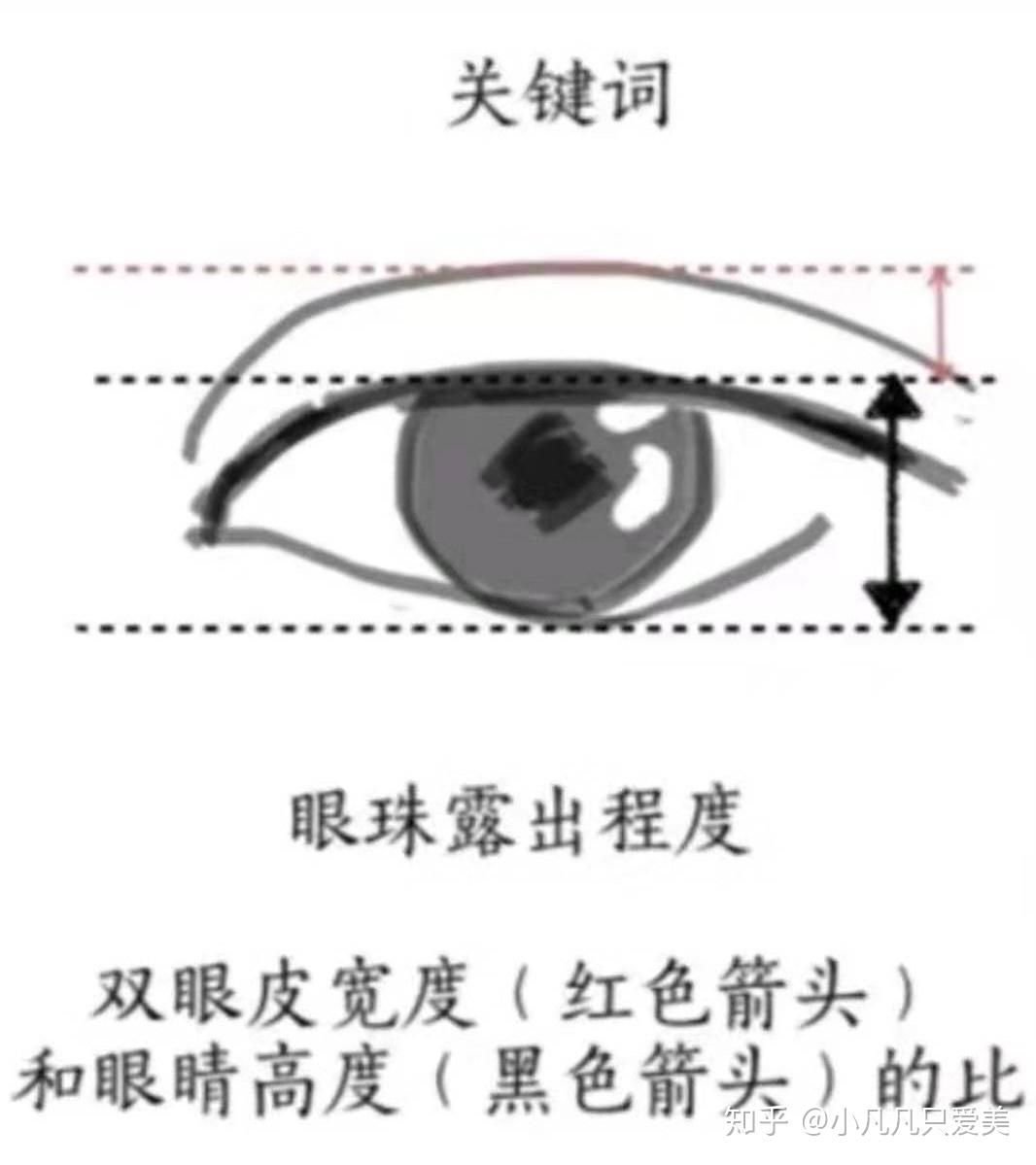 v2-9b517b5f808c4fc4d3e6973154ad73fa_r.jpg