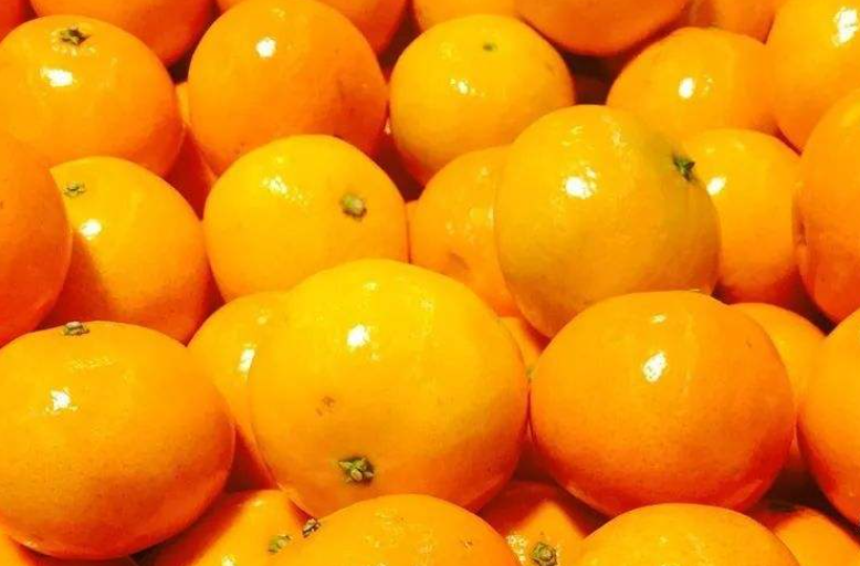 v2-9b65c073728680f7e7e3828d0c4b817d_1440w.jpg?source=172ae18b