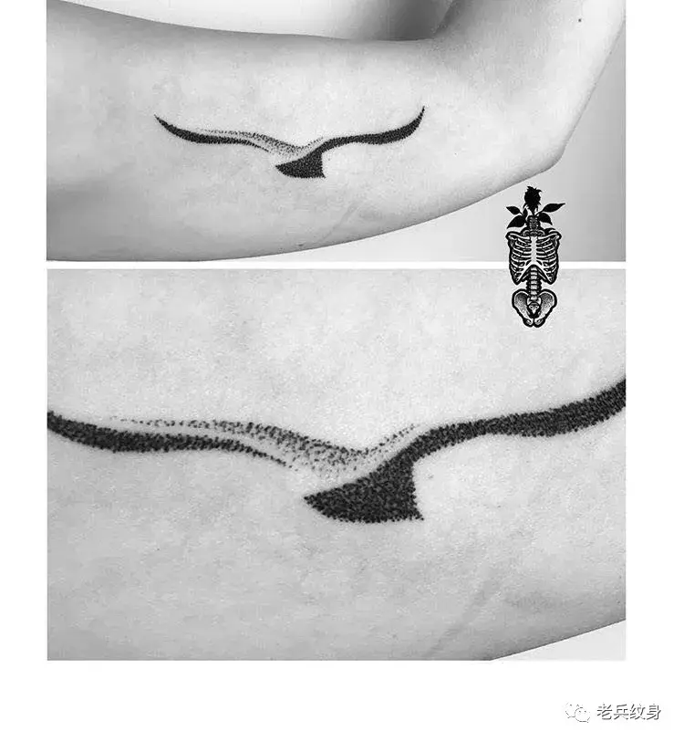 纹身素材海鸥纹身图案