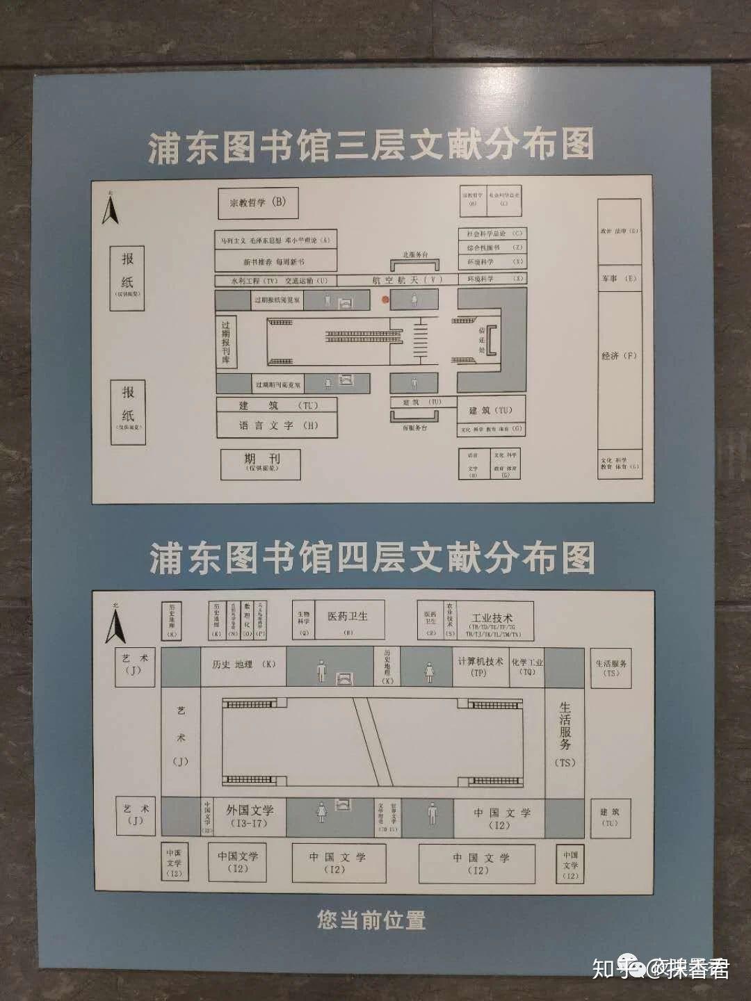 一枚沪漂的精神绿舟上海浦东图书馆