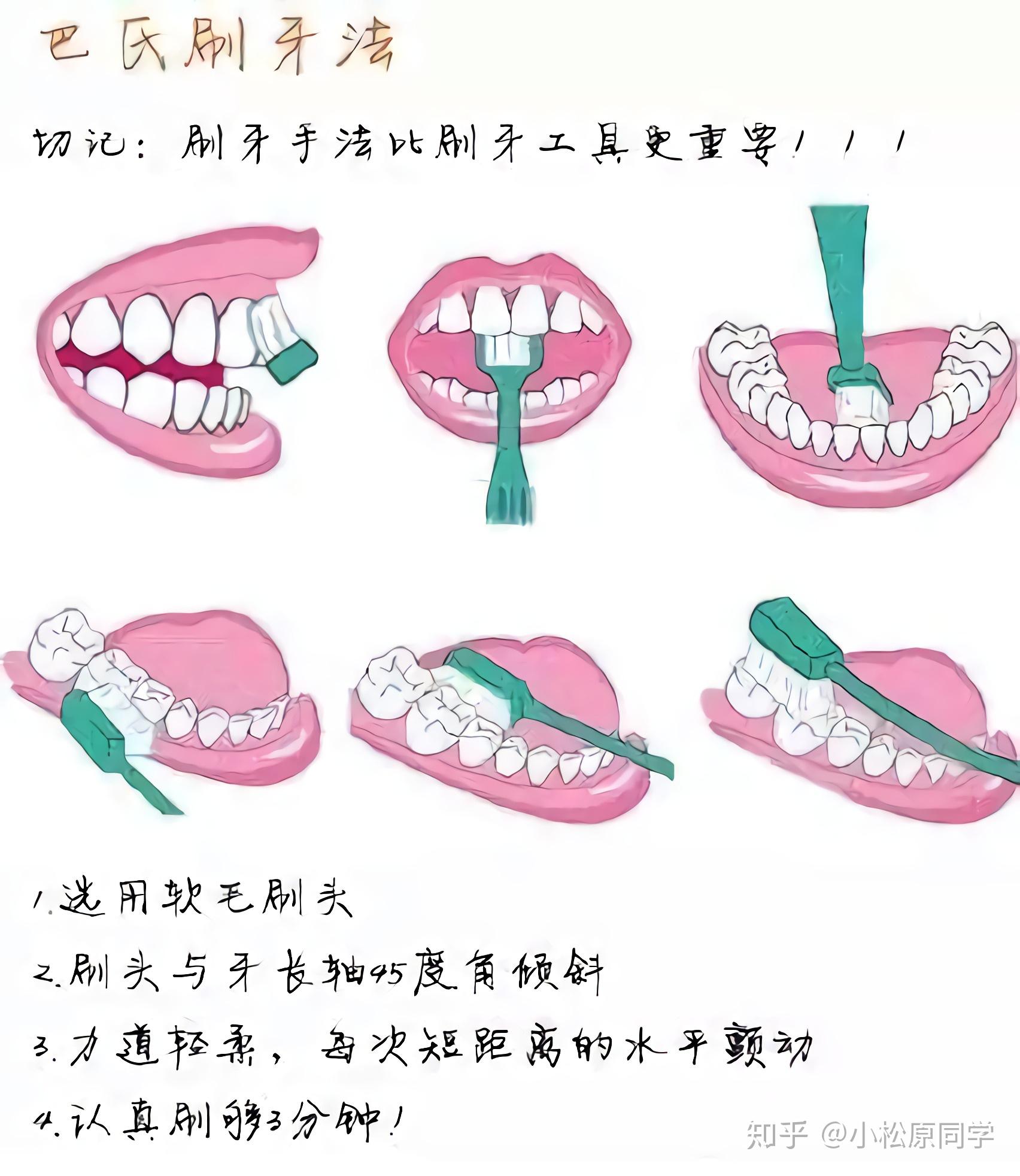 声波牙刷的正确刷法图片