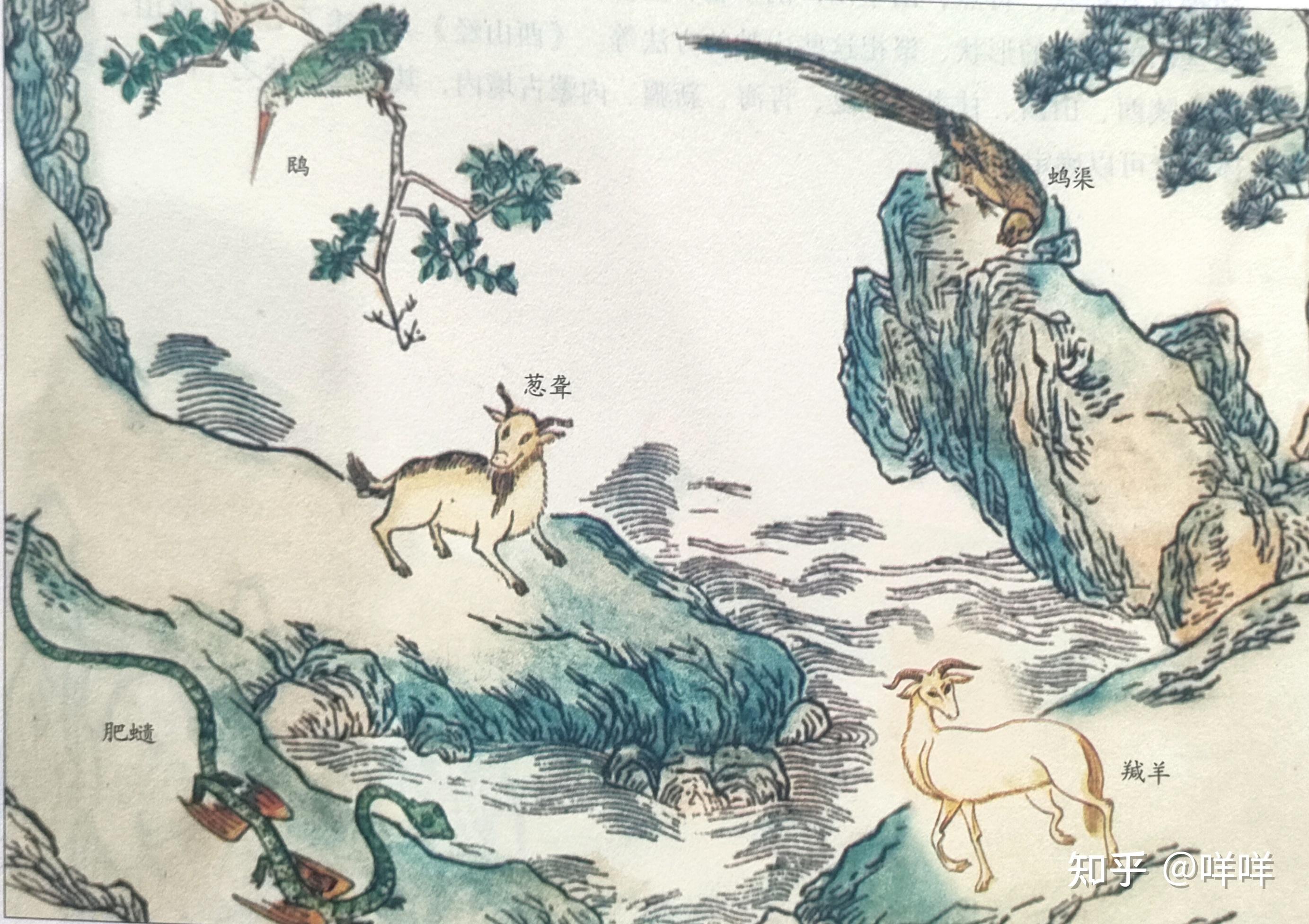 《山海经·山经》第二篇《西山经》之西山一经