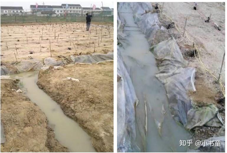 土木研究生 导电芯管与自动电源结合的电渗排水法