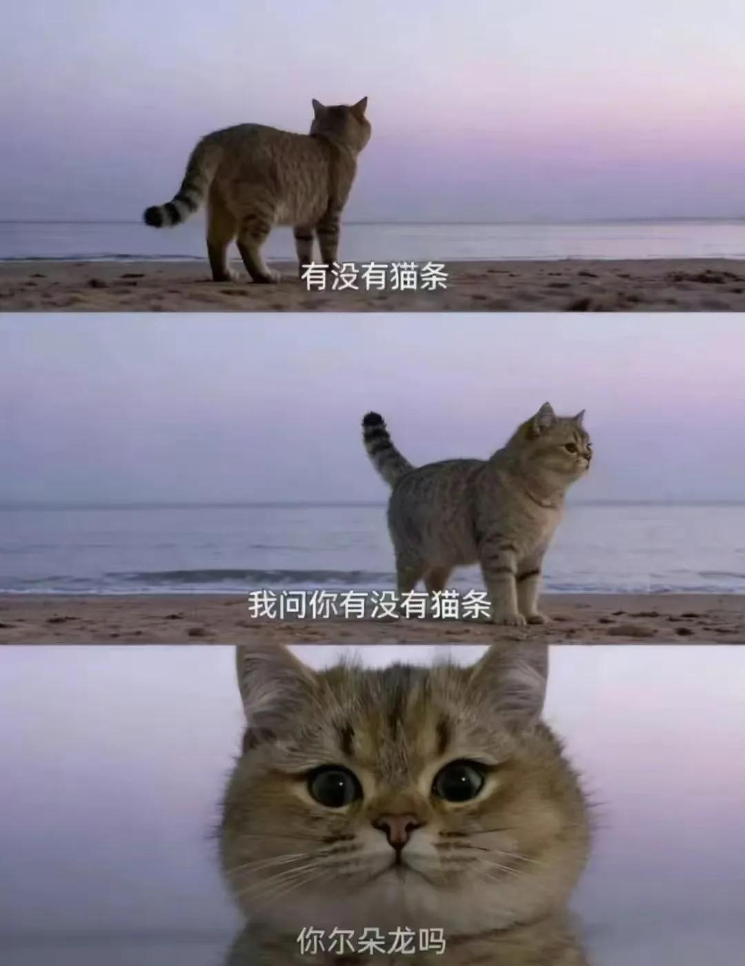 海的那边是什么，你不用告诉我 知乎 