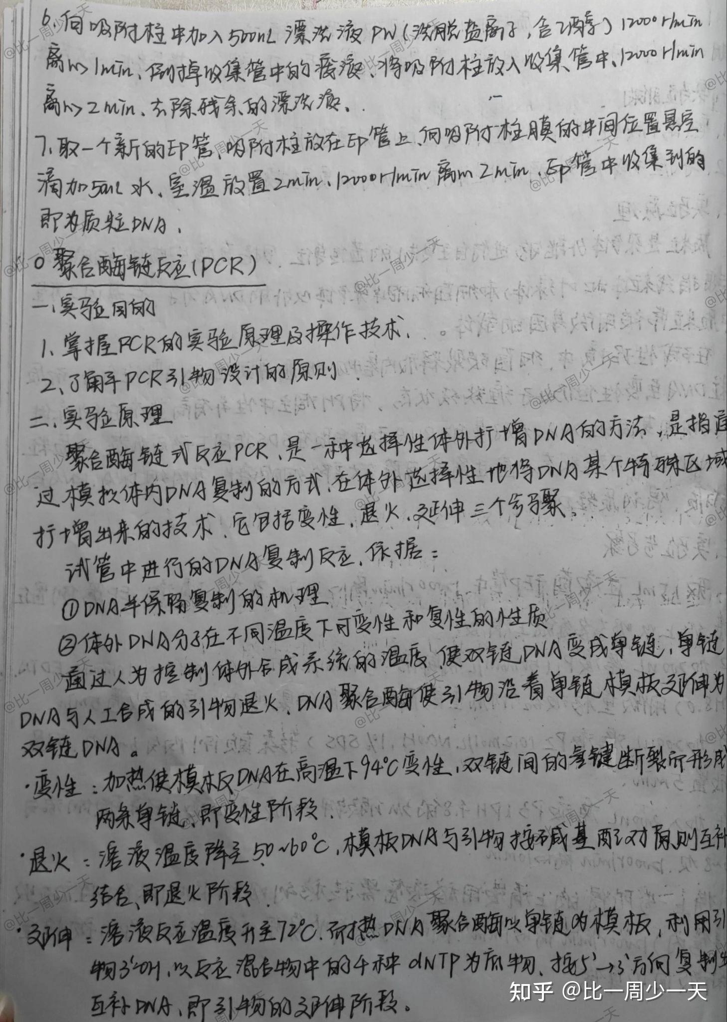 生物化学与分子生物学 实验报告 - 知乎