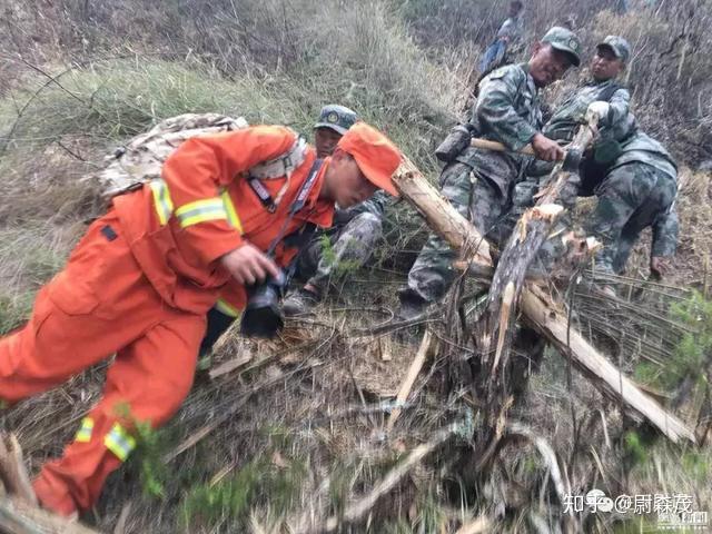 涼山火災森林消防員之死