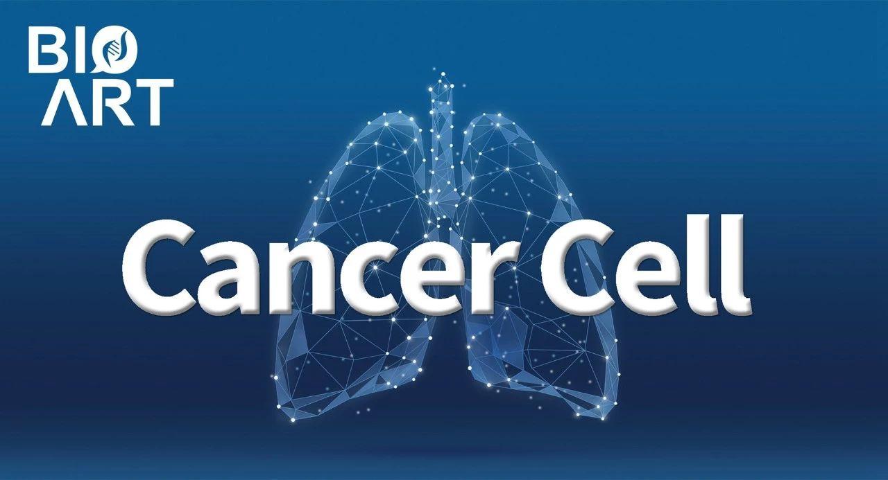 cancercell丨李宁团队总结细胞和基因疗法治疗实体瘤的十年图景