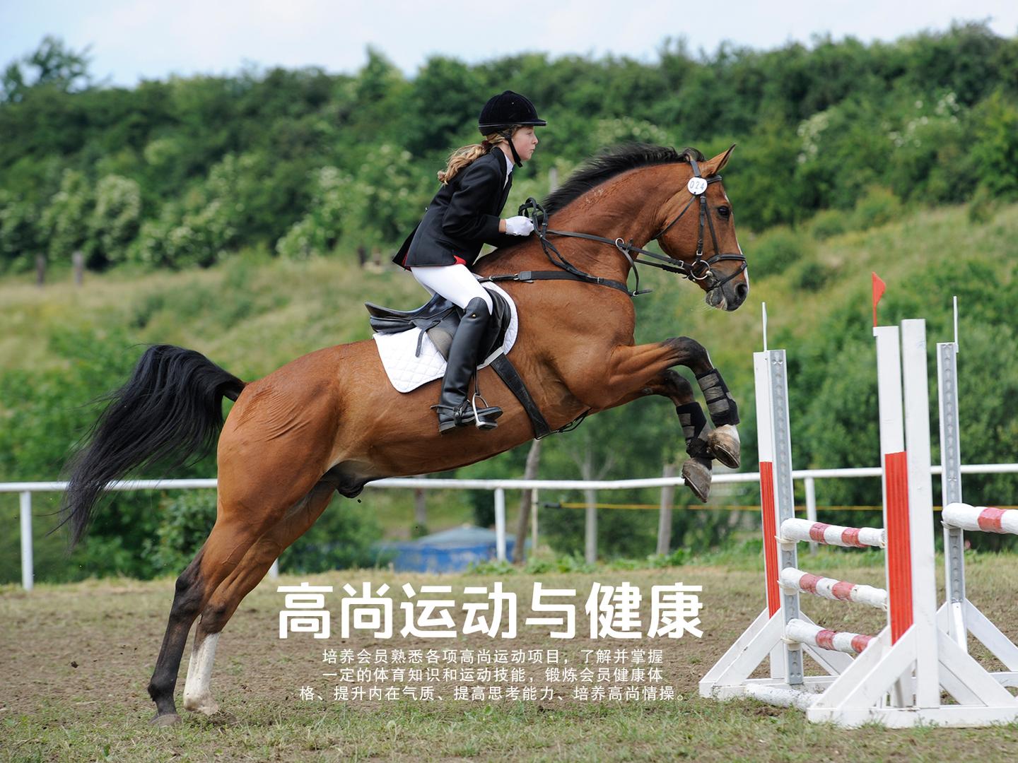 浅谈游戏在少儿英语学习中的重要性 知乎 浅谈游戏在少儿英语学习中的重要性 知乎