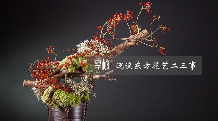 意境之美 浅谈东方插花二三事 知乎