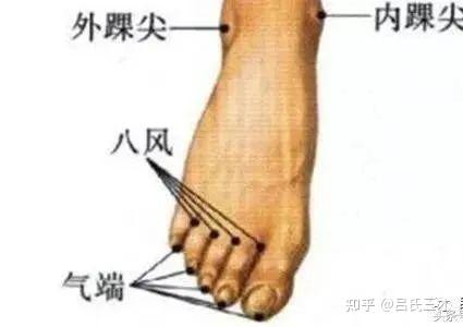 48个经外奇穴功效及穴位图详解之一（收藏慢慢看） - 知乎