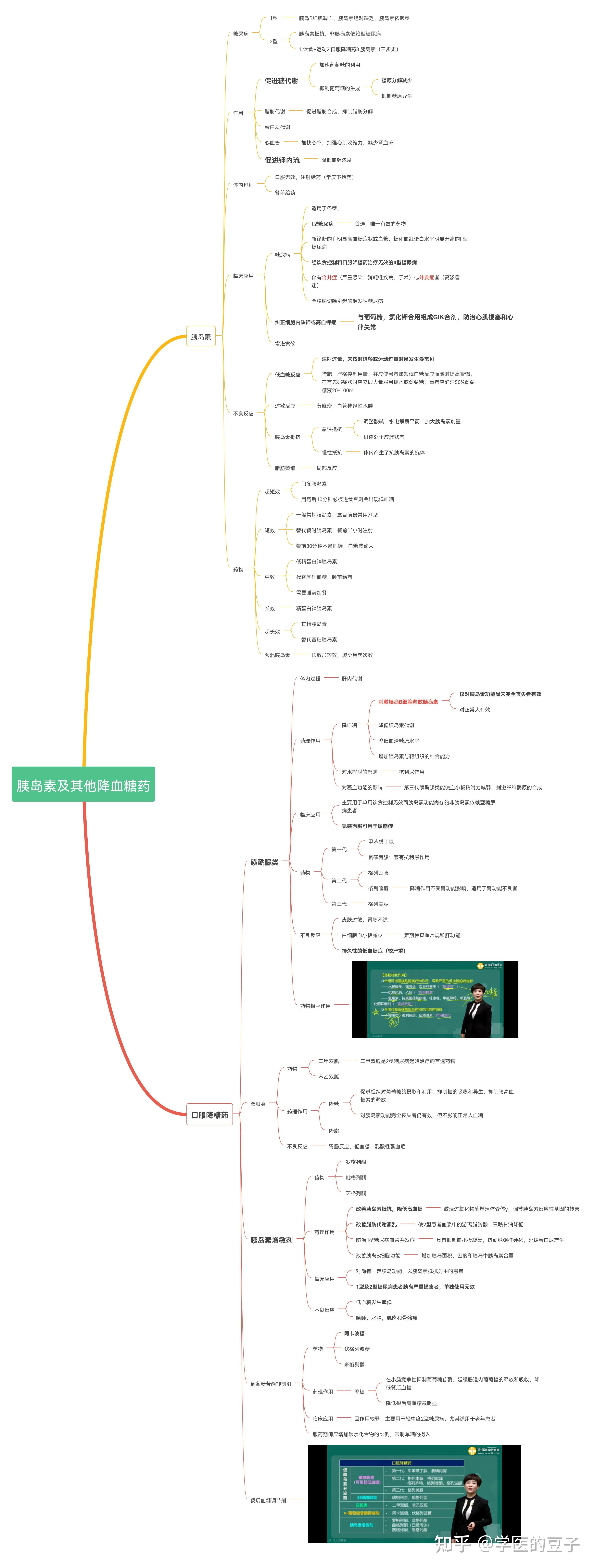 藥理學景晴老師版思維導圖