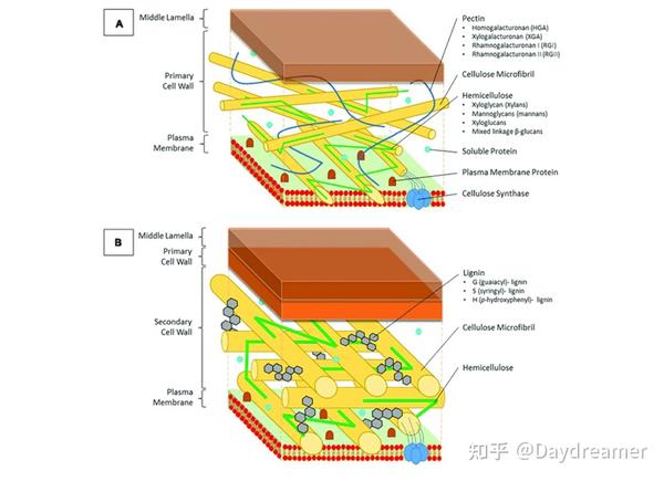 鼠标dpi在哪里调具体调节方法分为两种 知乎