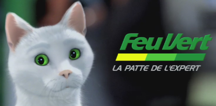 Logo Feu Vert La Patte De L Expert
