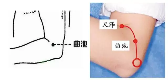 學習經絡有講究你要記住的這幾個特效穴