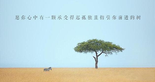 v2-9bf09efb3a185a030a4147cdb170b938_1440w.jpg?source=172ae18b