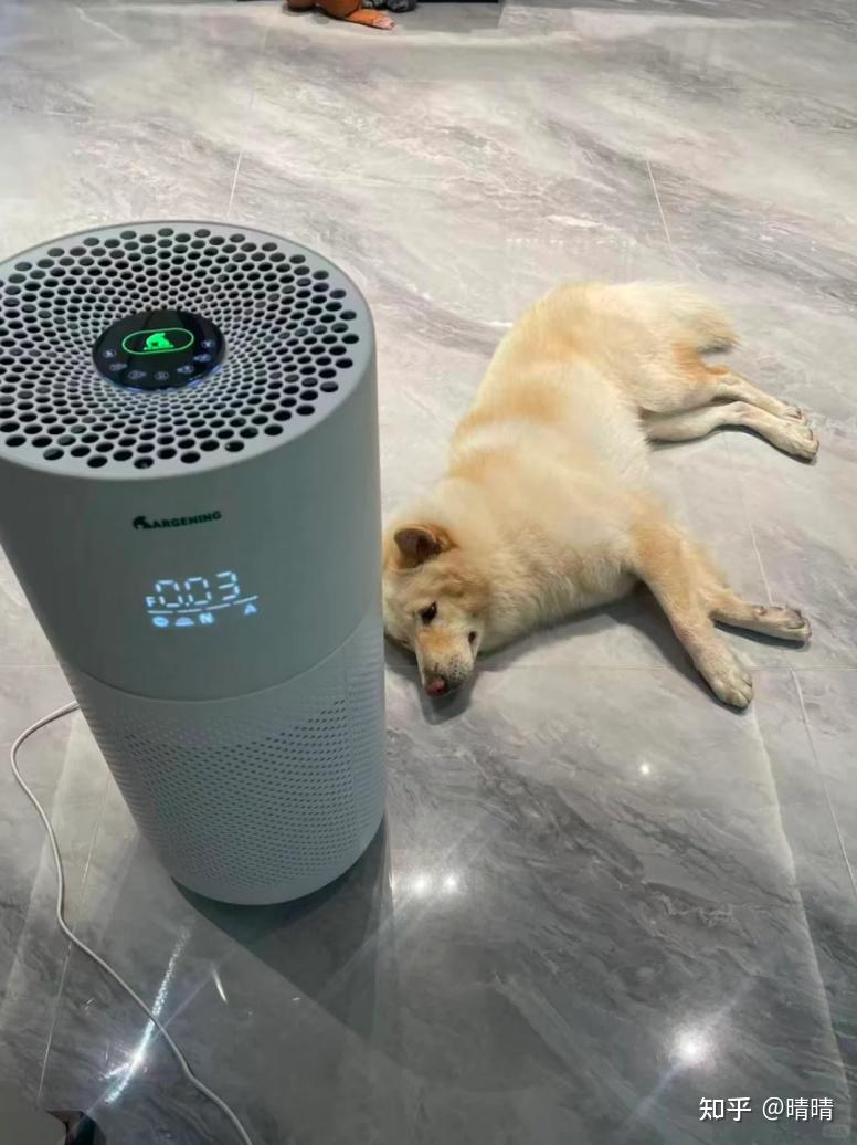 一次性入手6台奥尔格林净化器,装修房实测:灵敏度拉满还护宠!(结尾有彩蛋)
