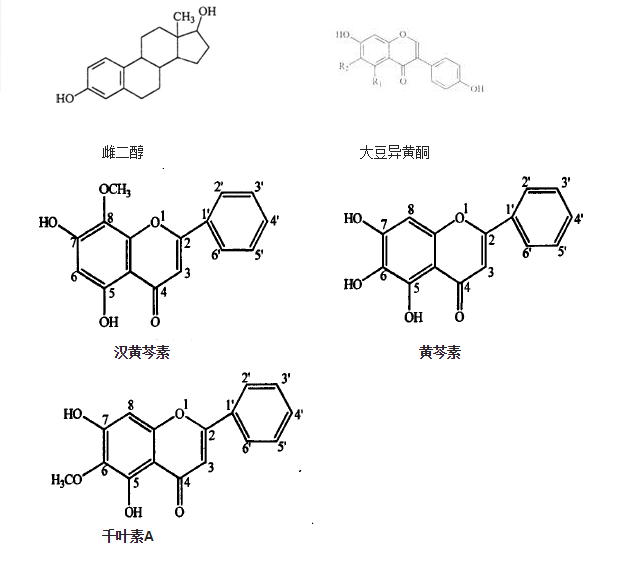 v2-9c072c83257c9e7ddc648bda87fd0557_1440w.jpg?source=172ae18b