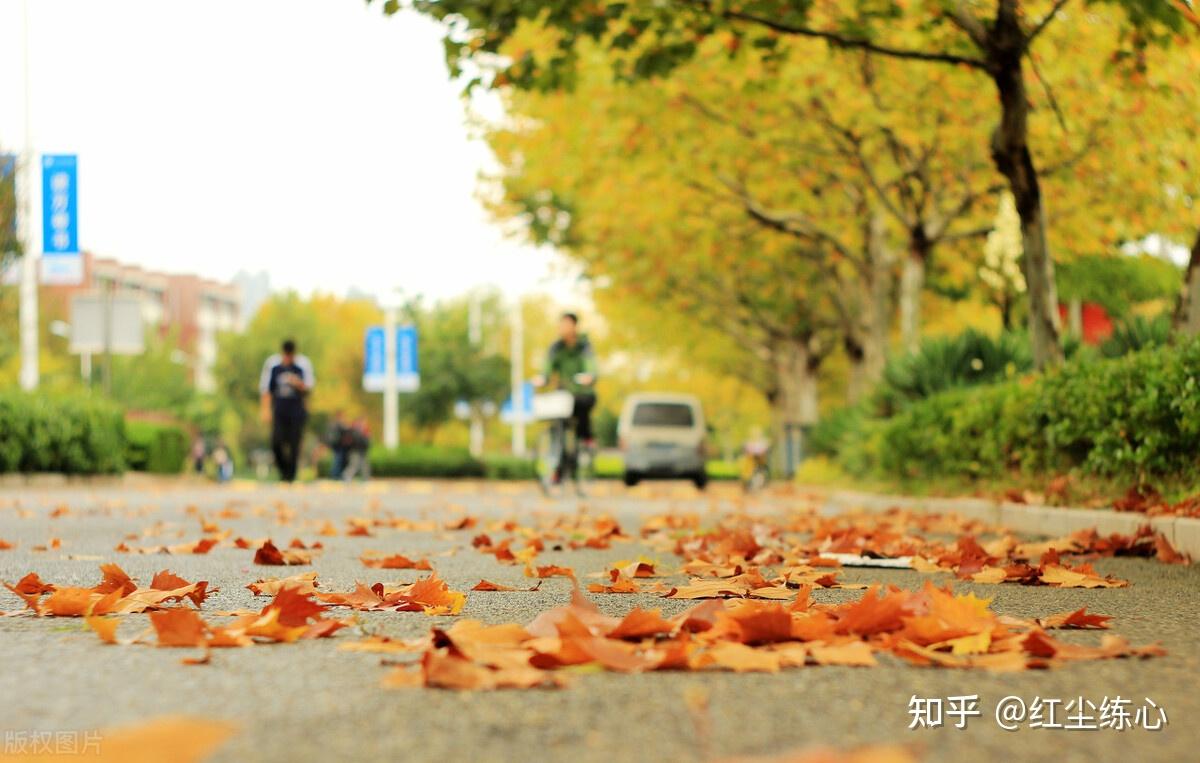 下雨的天氣就註定了堵車的結局而上班的打卡時間是固定的並不會因為