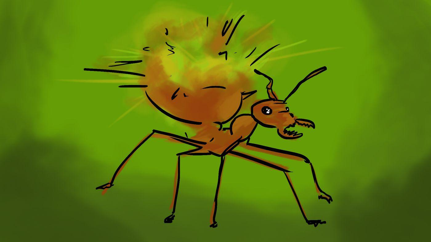 并且没有浮出水面呼吸,并不意味着它选择了自杀,凯西之死这样的例子