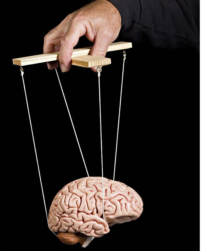 揭秘你是怎样被精神控制去搞传销的丨无路可套