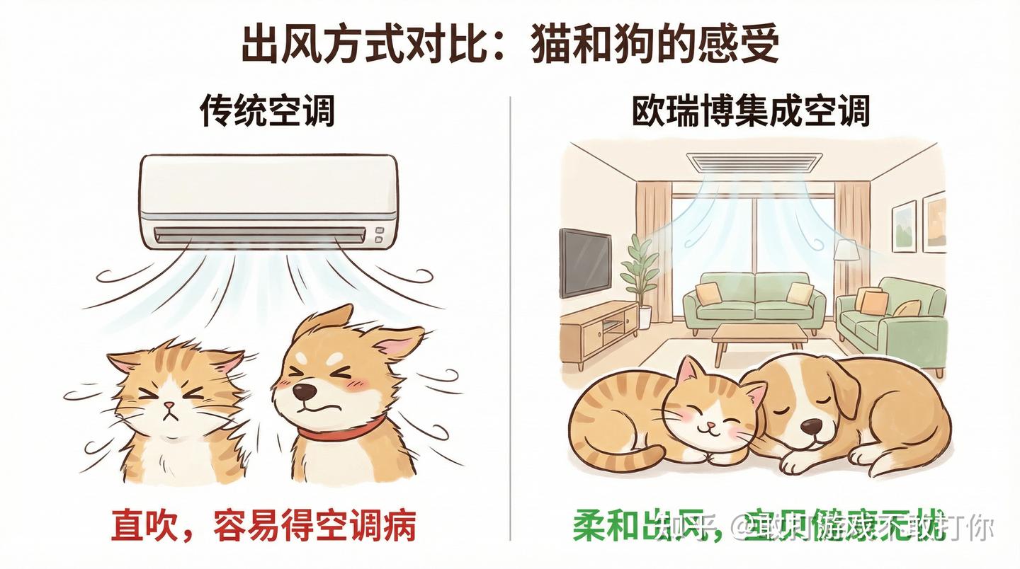 我家猫主子得了“空调病”后,我花5万块换了套系统,值吗?