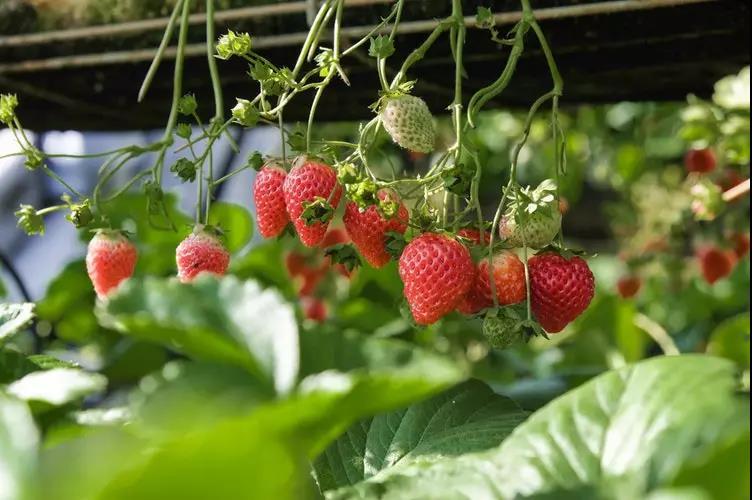 v2-9c4956fe9c3039b2f5e19b05c8bf7363_1440w.jpg?source=172ae18b