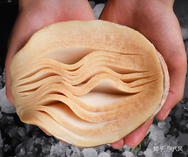 买家收到的"黄金鲍"的壳确实是鲍鱼的壳,但是肉却是欧拉宽口涡螺的肉