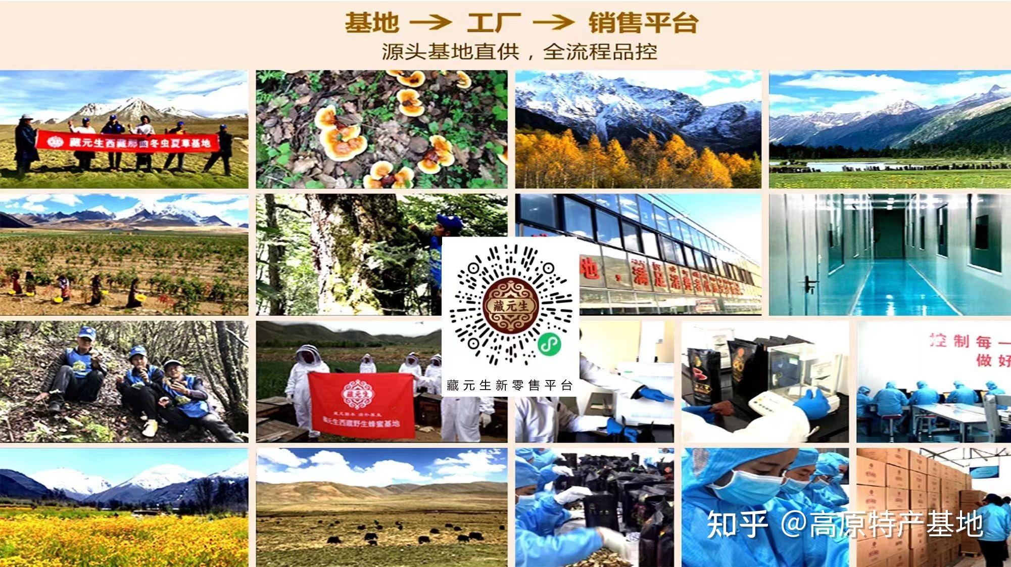 益西央宗挖掘藏医药优势资源发展新时代西藏大健康产业