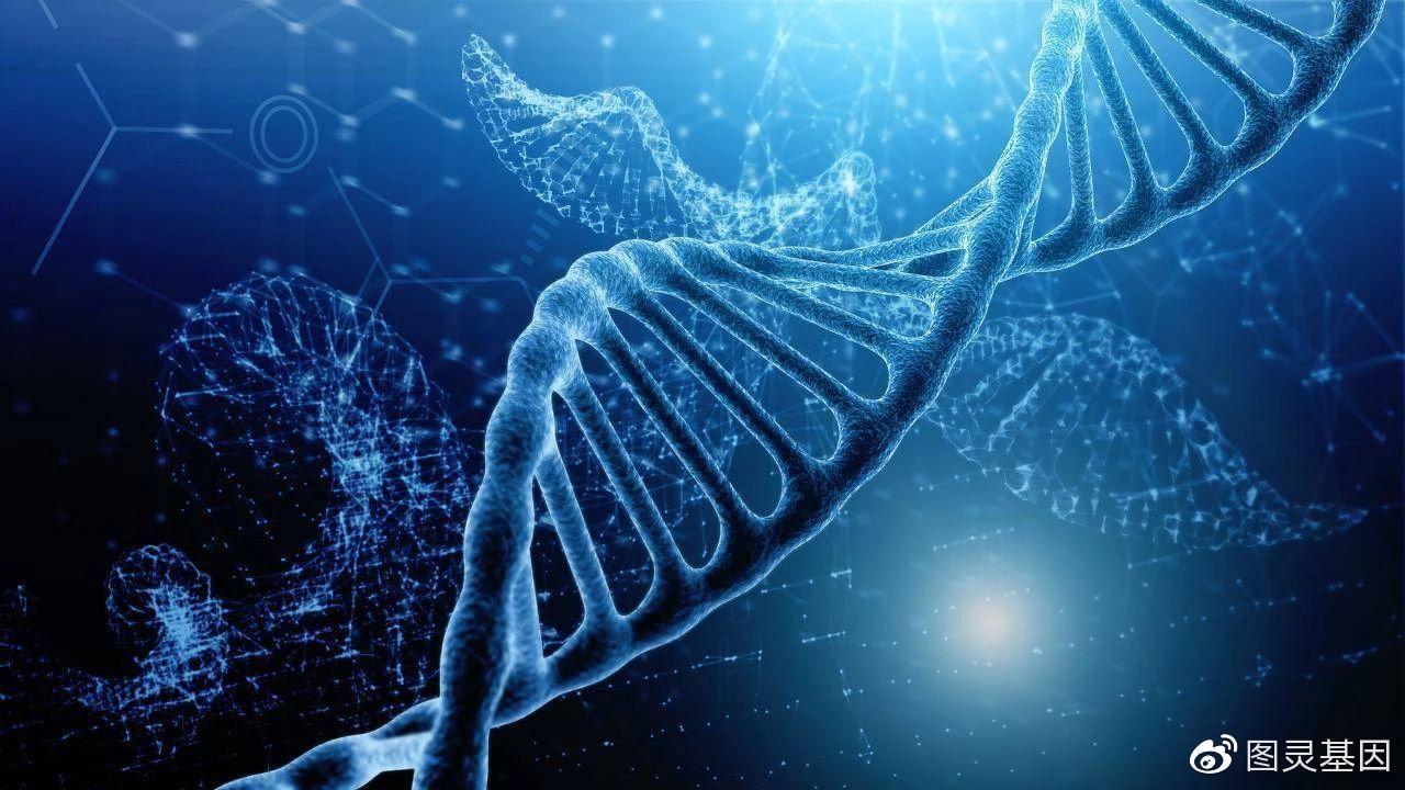 DNA壁纸图片
