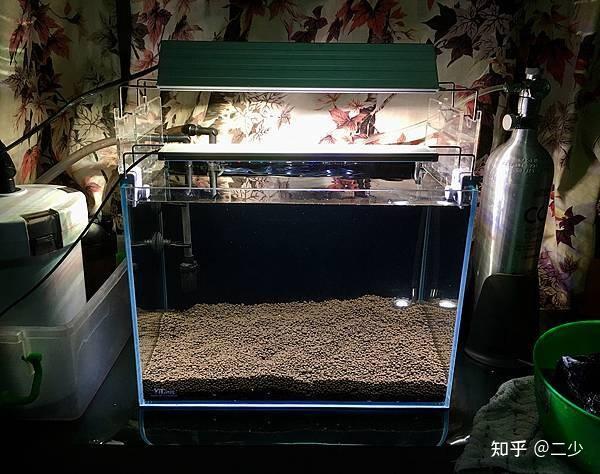 新手入门:从零开始的水草缸设缸教学! - 知乎