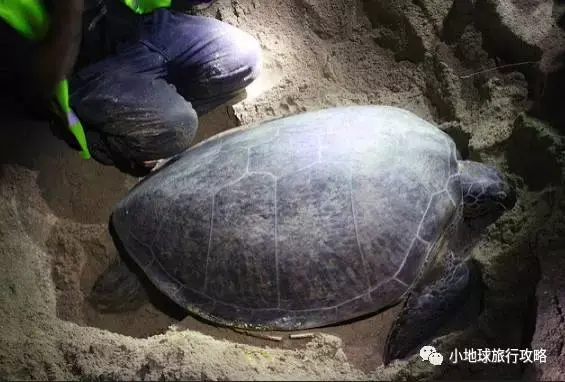 史上最好的沙巴小众旅行攻略，没有之一。