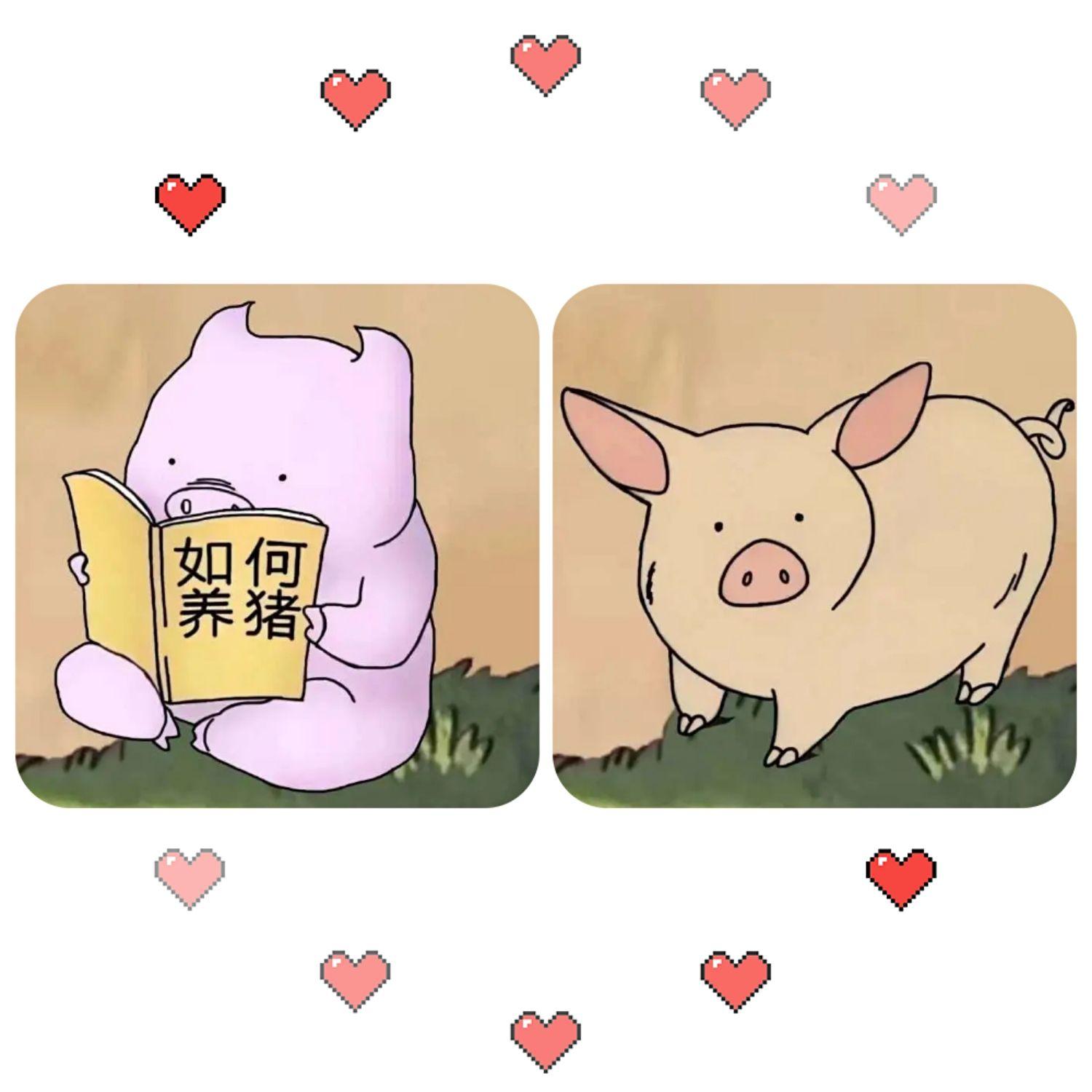 有哪些好看又特别的情侣头像