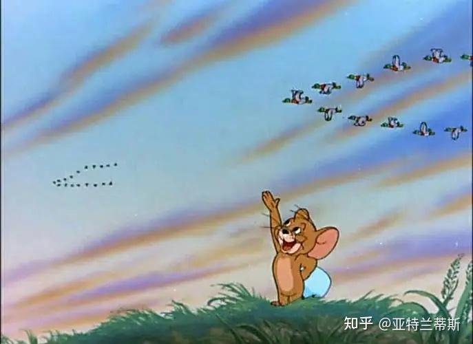 猫和老鼠---tom & jerry
