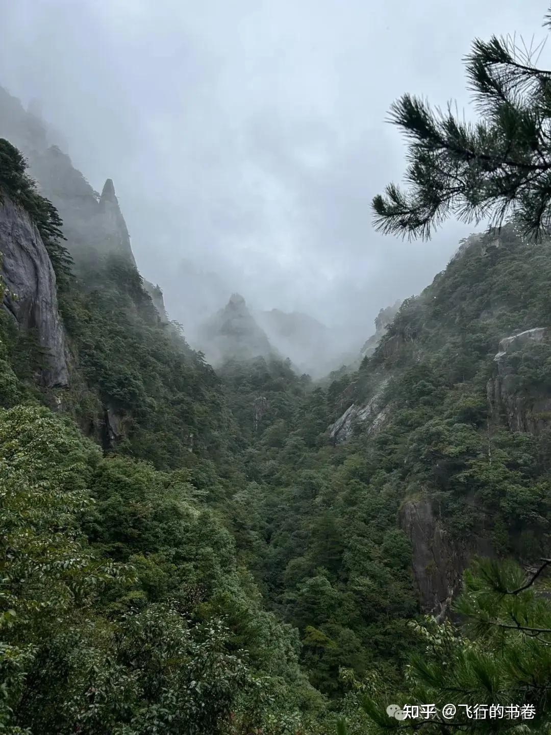 黄山雨中独行记(一):从云谷寺徒步到白鹅岭,一路有啥美景? - 知乎
