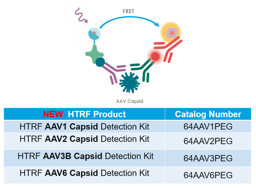 如何运用HTRF&AlphaLISA实现AAV载体的定量和空壳率计算_化工仪器网