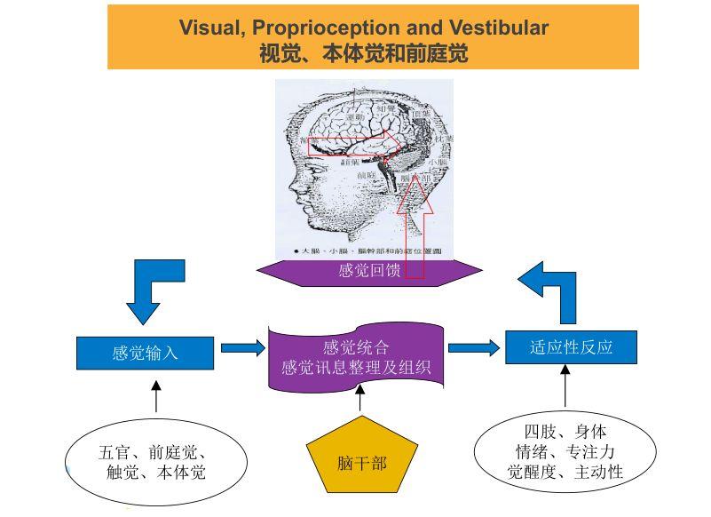 80自闭症孩子都有感觉运动障碍妈妈们都应该重视