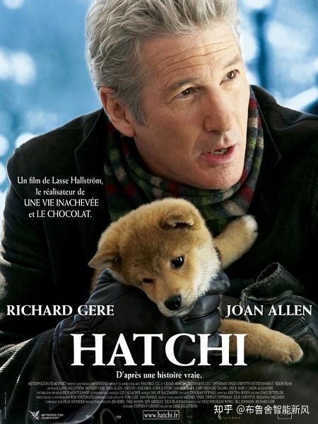 这些关于宠物的电影,你看哭了几部?