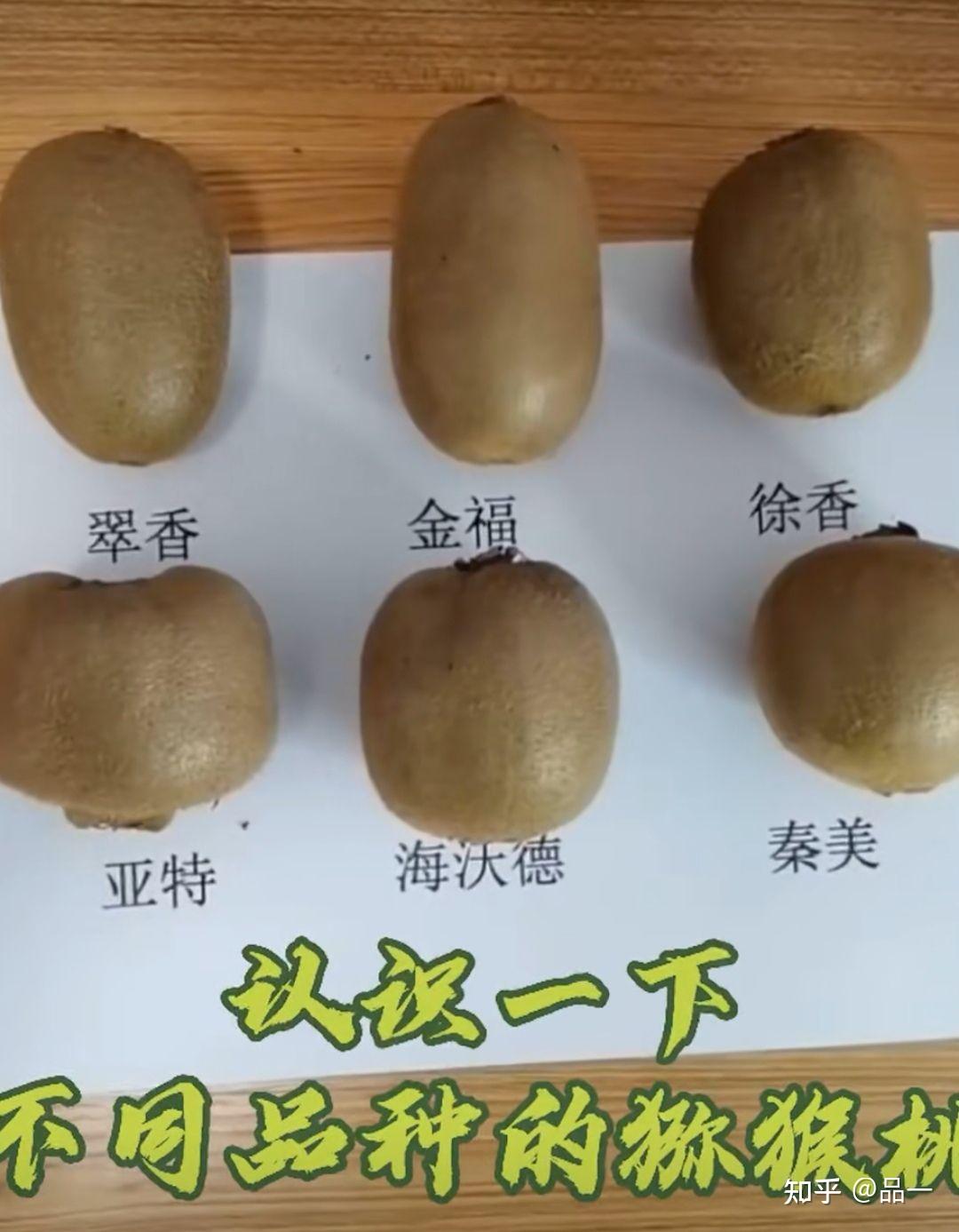 猕猴桃之乡陕西猕猴桃最客观的科普