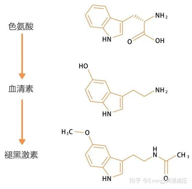 色氨酸残基图片