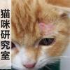 猫咪得了猫癣怎么办 自己在家中也能这样诊断和治疗 看完你也会治猫癣 知乎