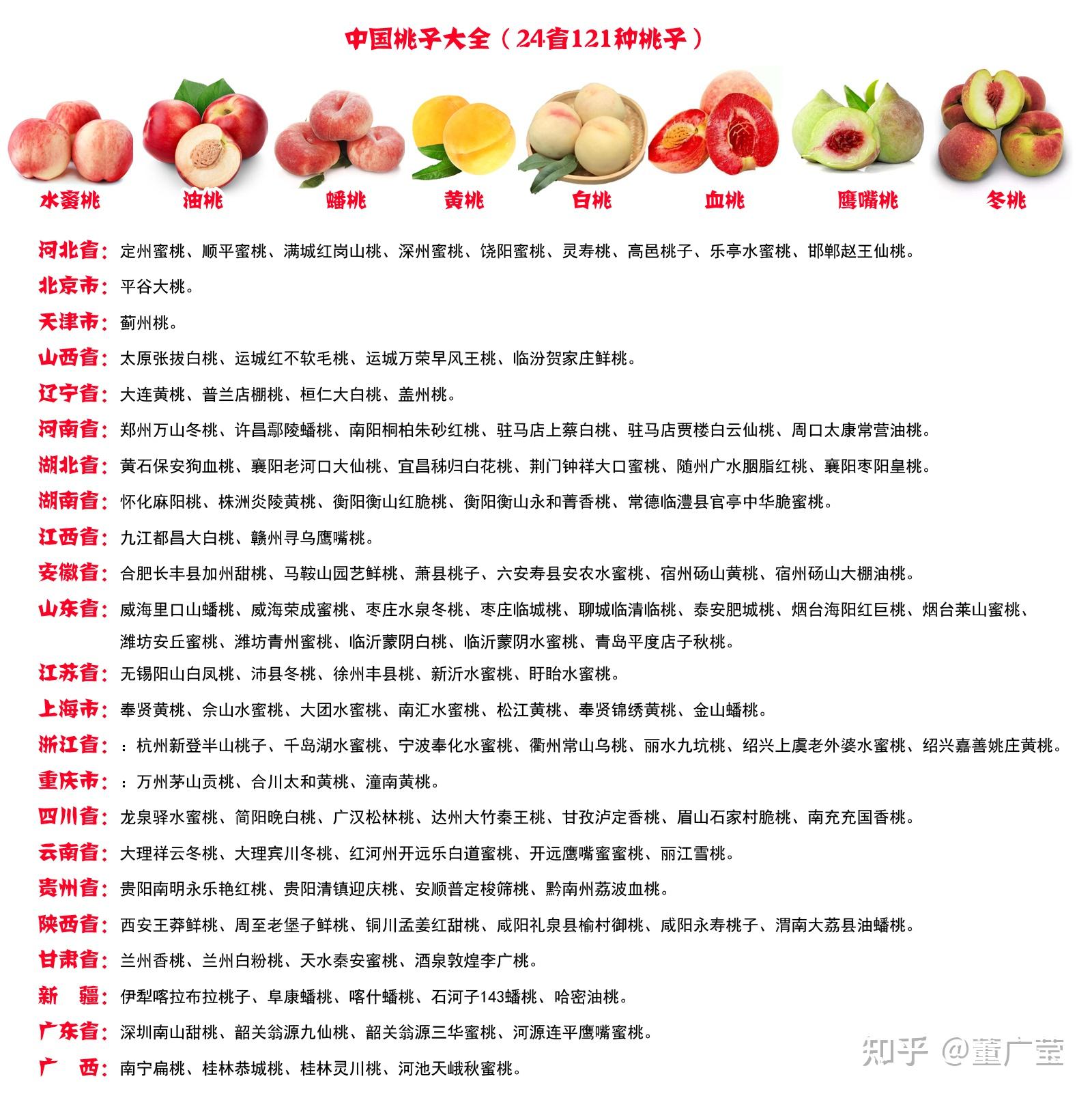 中国桃子大全盘点24个省121种桃子还有一种叫桃不是桃哪几个省份没有