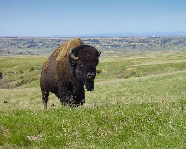 的恶地国家公园建于1978年11月10日,它拥有许多地垛,尖塔,尖峰和草原