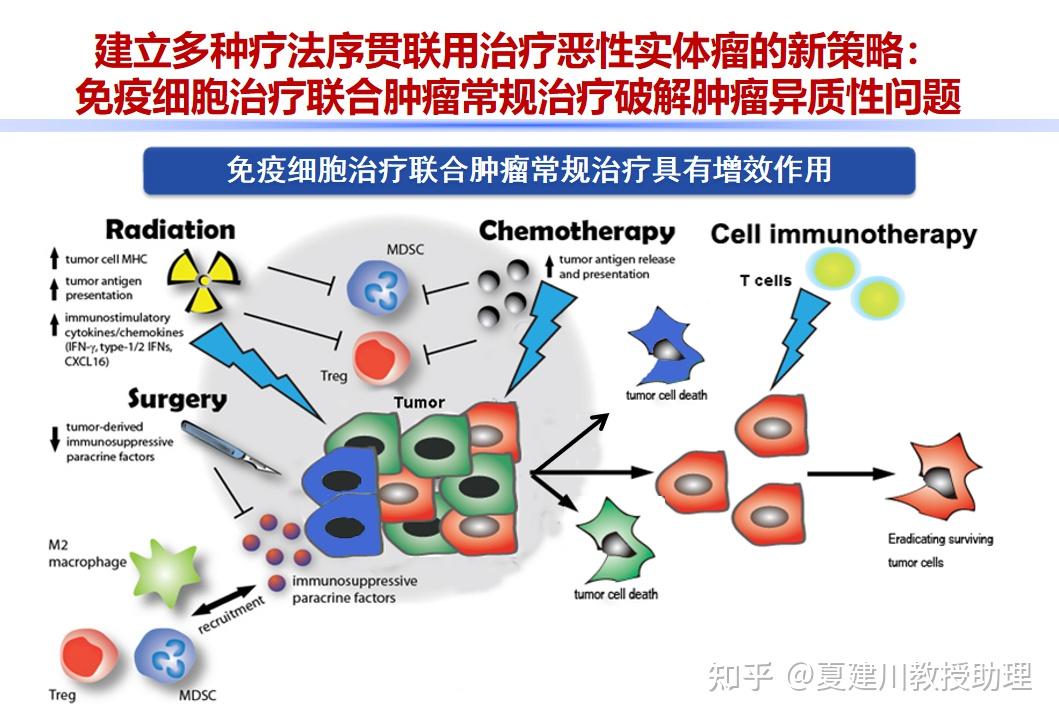 上皮-间质转化(emt)程序对于肿瘤细胞规避细胞凋亡,失巢凋亡,癌基因