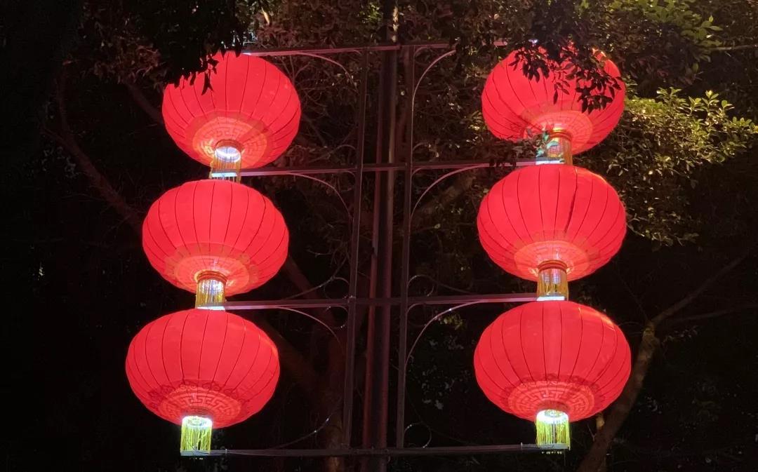 成都街头大红灯笼高高挂浓浓年味儿飘出来